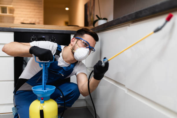 Best Pest Control Near Me  in Hainesvle, IL