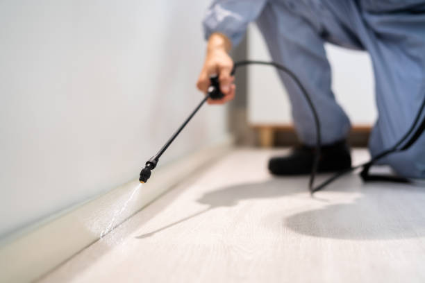 Best Commercial Pest Control Services  in Hainesvle, IL