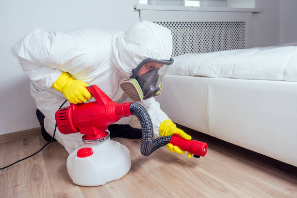 Best Local Pest Control Services  in Hainesvle, IL