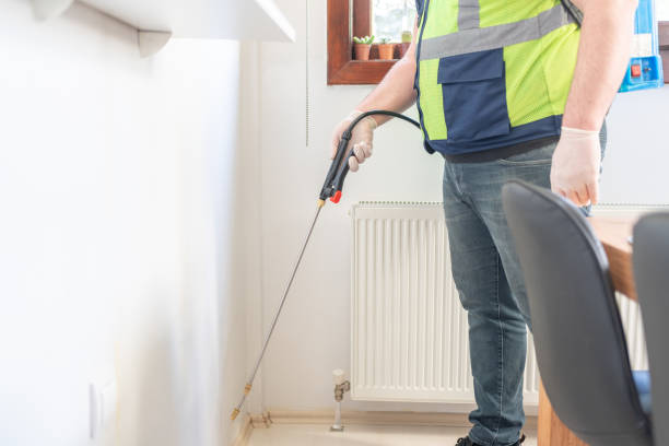 Best Rat Extermination Near Me  in Hainesvle, IL