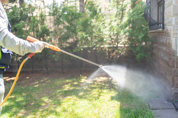 Best Pest Control Near Me in Hainesville, IL
